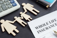 Key Insights into Finance and Insurance