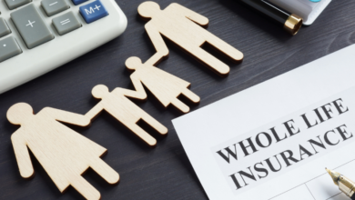 Key Insights into Finance and Insurance