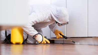 The Benefits of a DIY Pest Control Subscription