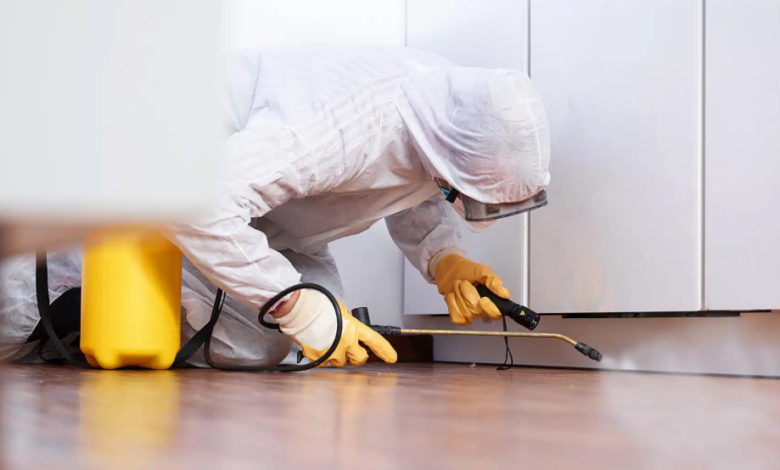 The Benefits of a DIY Pest Control Subscription